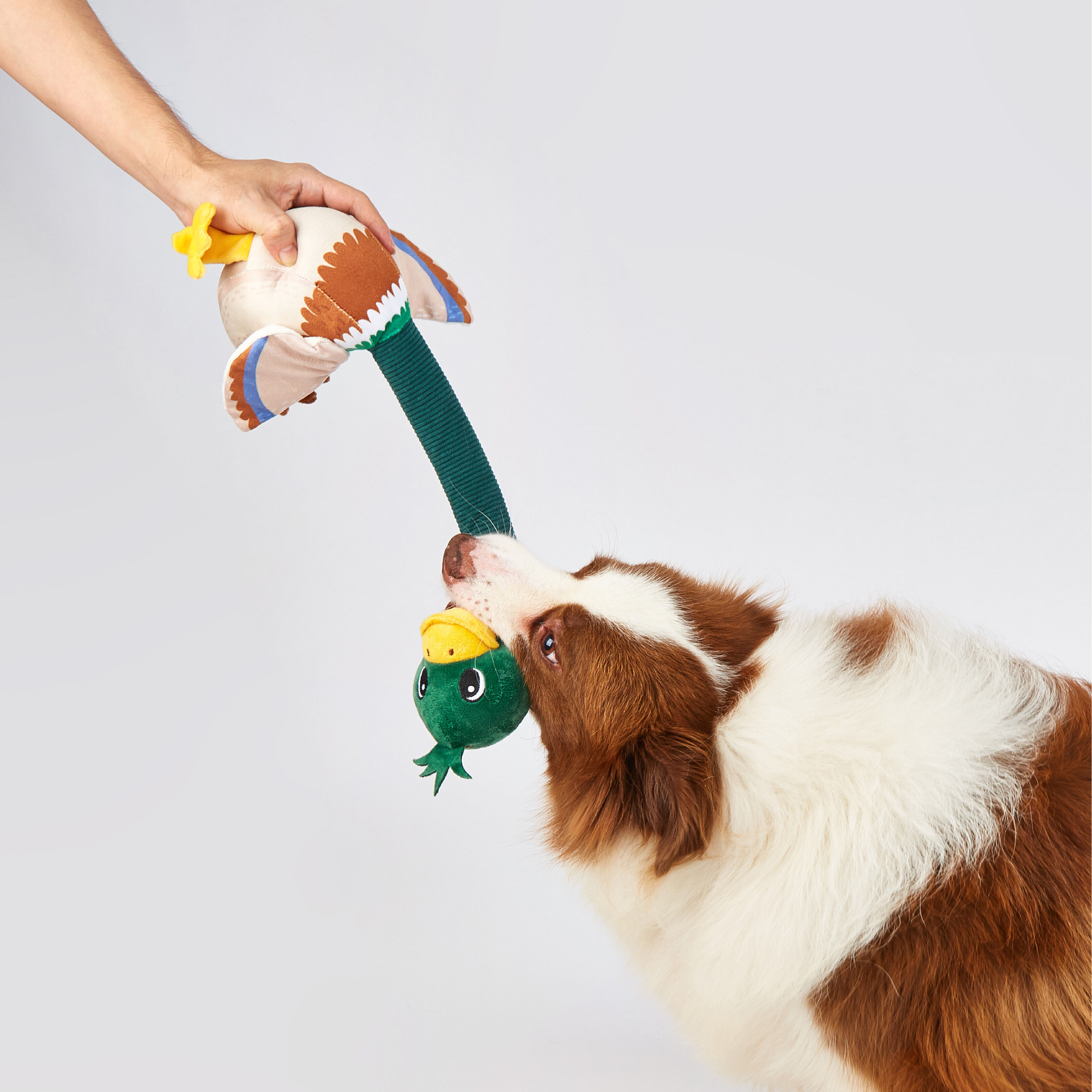 Juguete para Perro de Cuello Largo con Sonido Crinkle &ndash; Pato (&Aacute;nade Real), , large Imagen numero 2