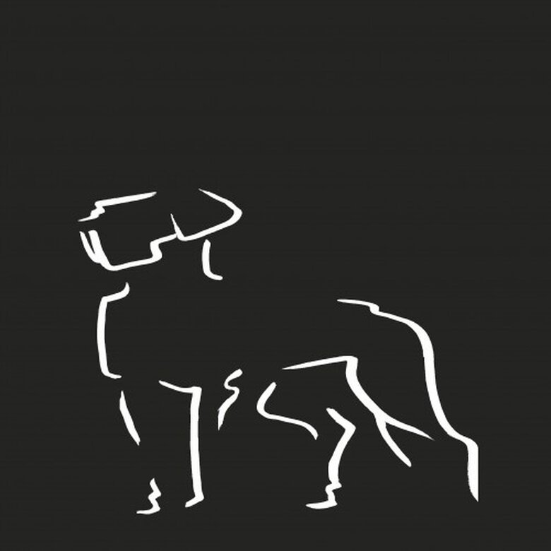 Ilustración de Dogo A4 sin marco color Negro, , large image number null