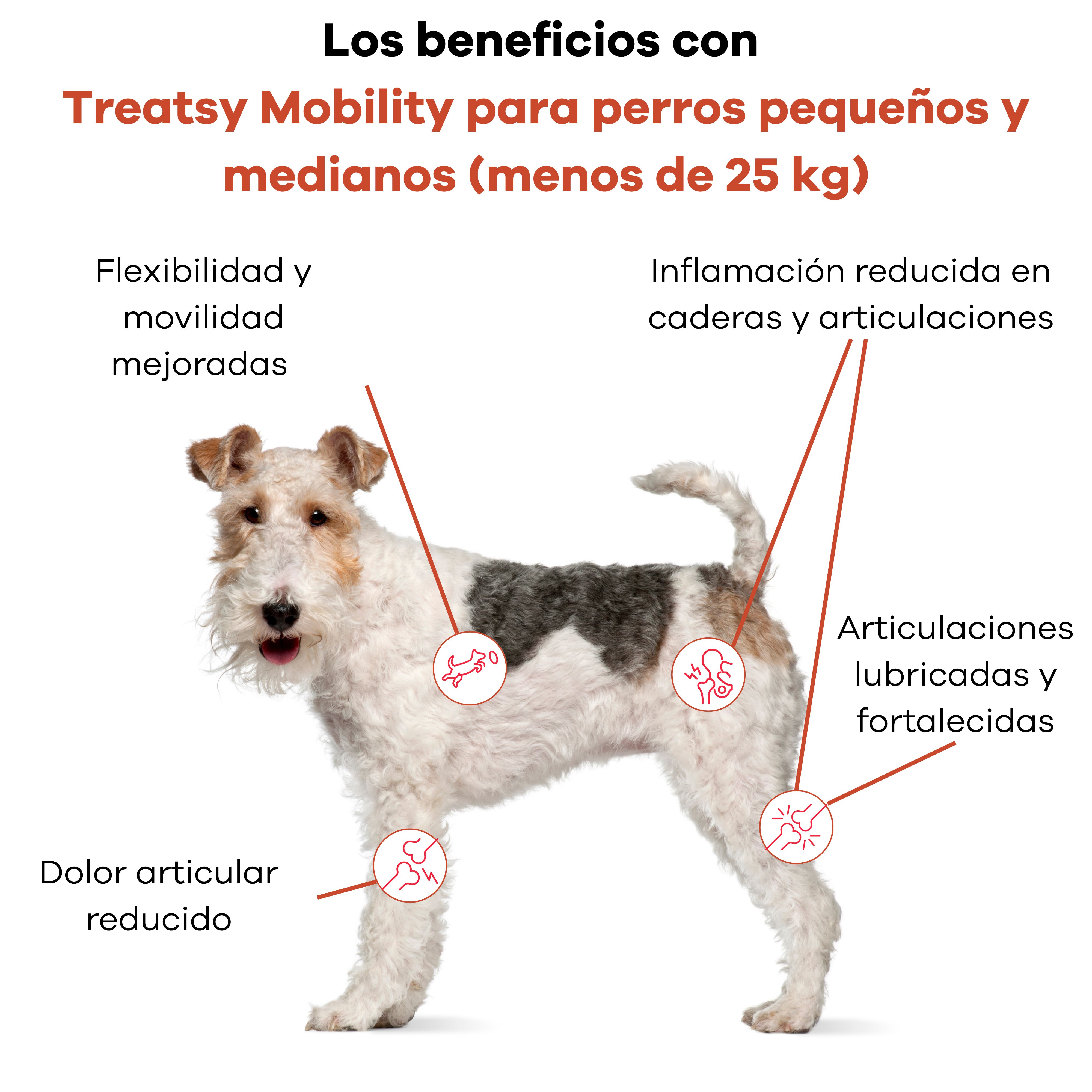 Treatsy Movilidad Perro -25kg &ndash; Complemento Veterinario Articulaciones &ndash; Col&aacute;geno Tipo II UC-II, Membrana de C&aacute;scara de Huevo &ndash; 60 Snacks &ndash; Hipoalerg&eacute;nico, , large Imagen numero 3