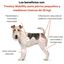 Treatsy Movilidad Perro -25kg &ndash; Complemento Veterinario Articulaciones &ndash; Col&aacute;geno Tipo II UC-II, Membrana de C&aacute;scara de Huevo &ndash; 60 Snacks &ndash; Hipoalerg&eacute;nico, , large indicador imagen numero 3