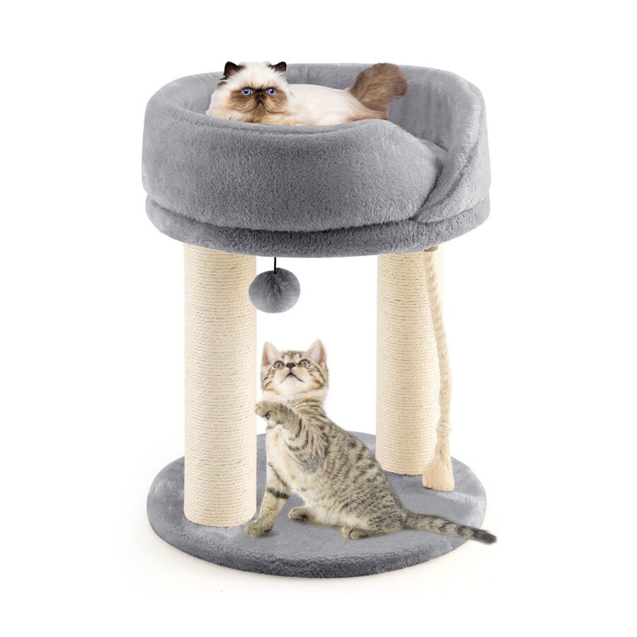 COSTWAY &Aacute;rbol Rascador para Gatos, Altura 53 cm, Torre para Gatos 4 en 1 con Plataforma, Base Acolchada, Bola de Juguete y Cuerda de Sisal, Poste de Rascado (Gris), , large Imagen numero 1