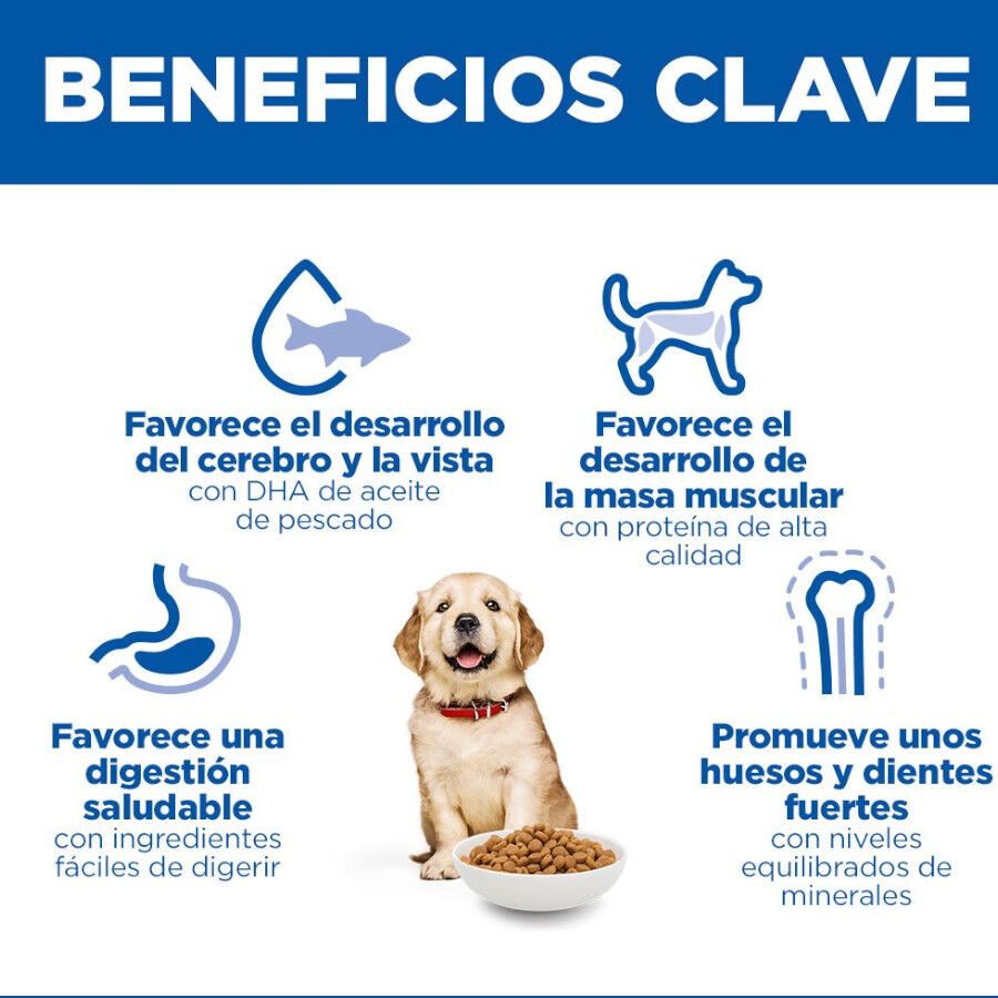 14.5 kg Hill's Science Plan Puppy large Pollo pienso para perros, , large Imagen numero 5