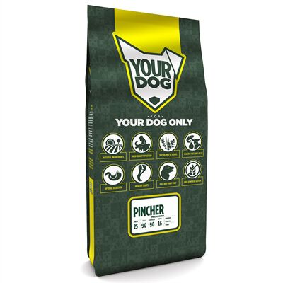 YOURDOG PINCHER ADULTO, , large Imagen numero 1