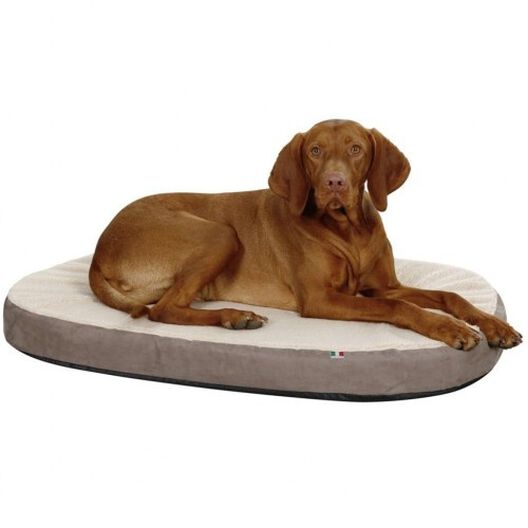 Colchón viscoelástico ovalado para perros color Beige y Gris, , large image number null