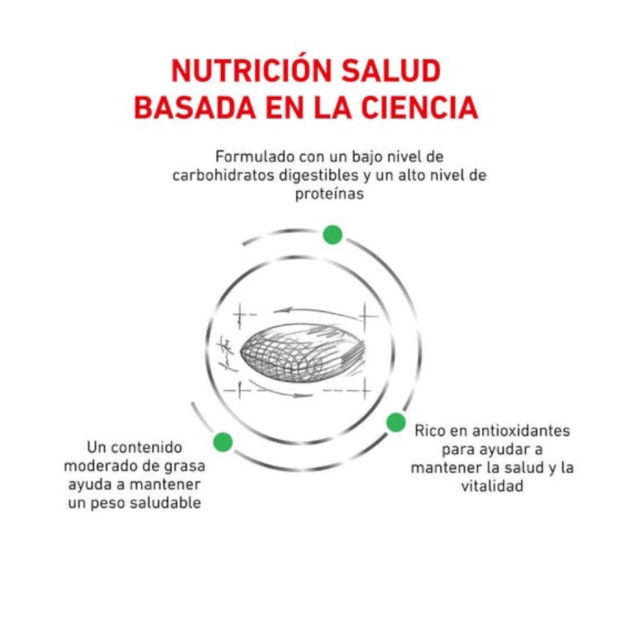 Royal Canin Veterinary Diabetic pienso para gatos thumbnail