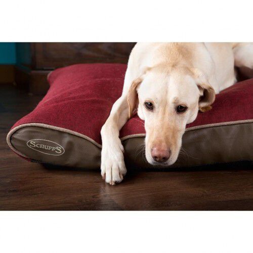 Cama ortop dica para perros color Rojo Tiendanimal
