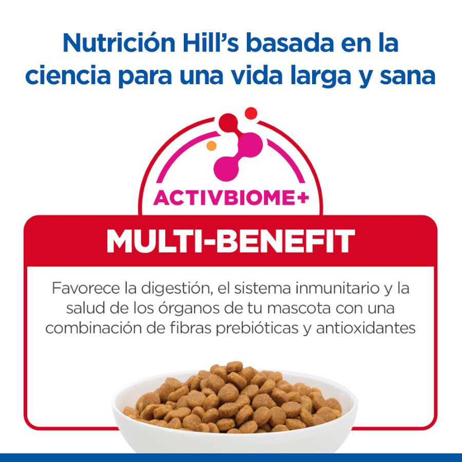 2 x 14 kg Hill's Science Plan Adult Large Cordero pienso para perros &iexcl;Pack ahorro!, , large Imagen numero 7