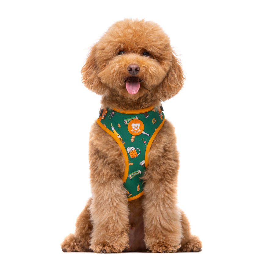 Dukier Beer Arn&eacute;s Ajustable para perros, , large Imagen numero 2