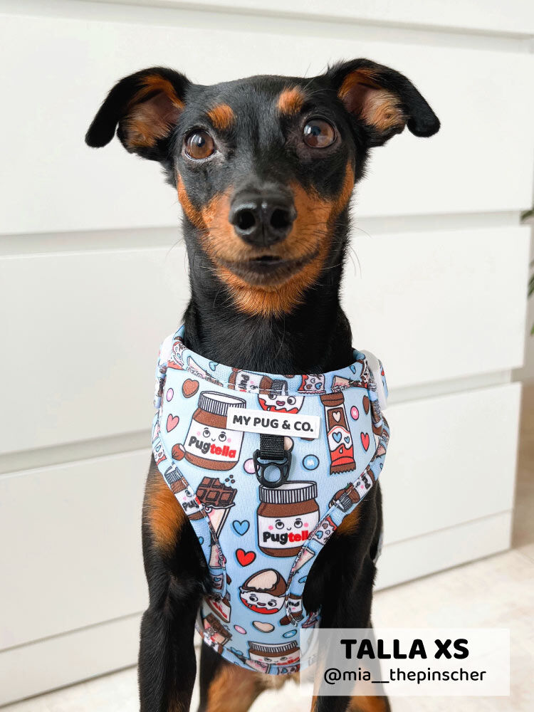 Arn&eacute;s Ajustable Pugtella, , large Imagen numero 4