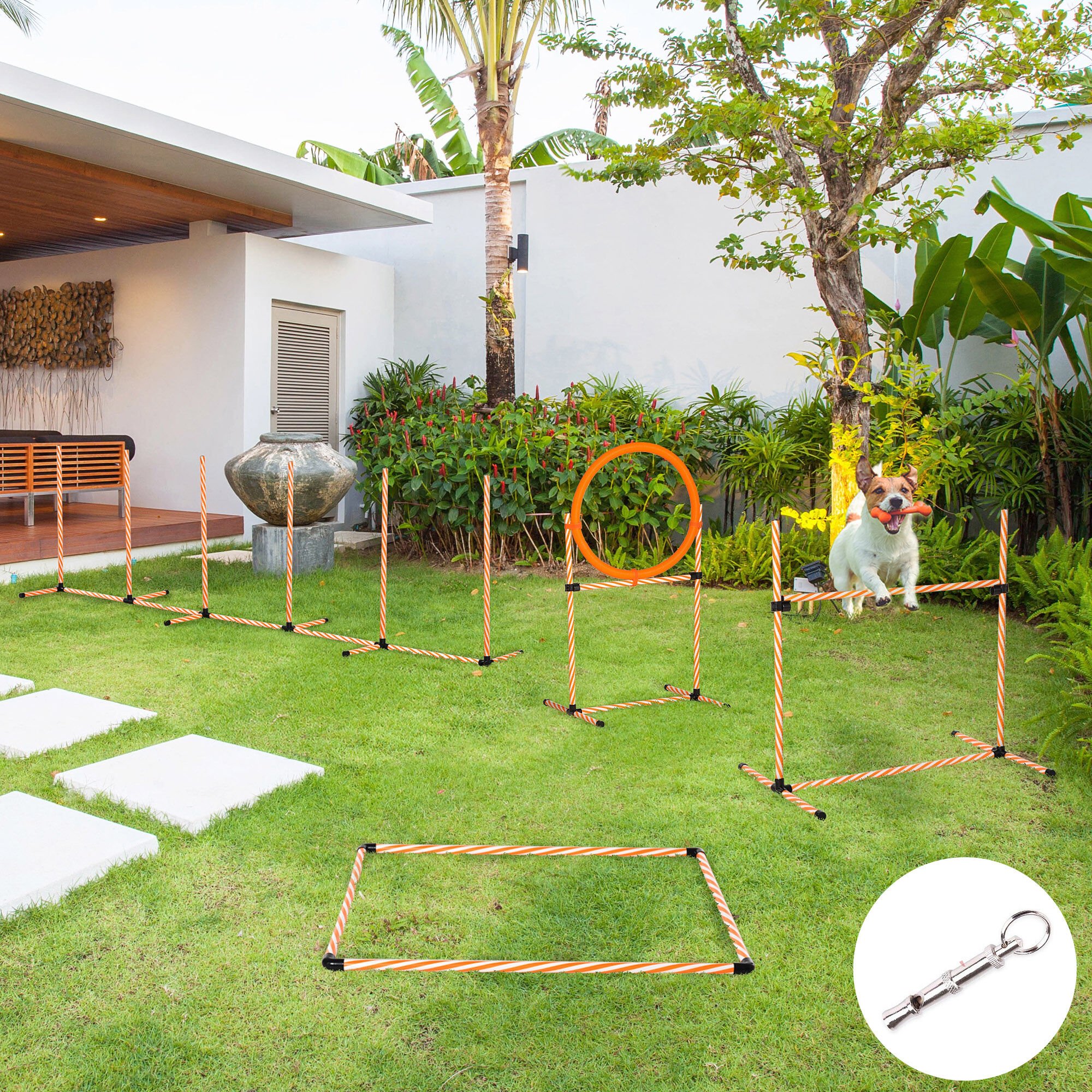 PawHut Juego de Agilidad Naranja para perros thumbnail