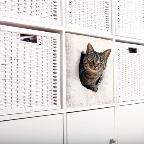 Cama con forma cuadrada para gatos color Gris, , large Imagen numero 2