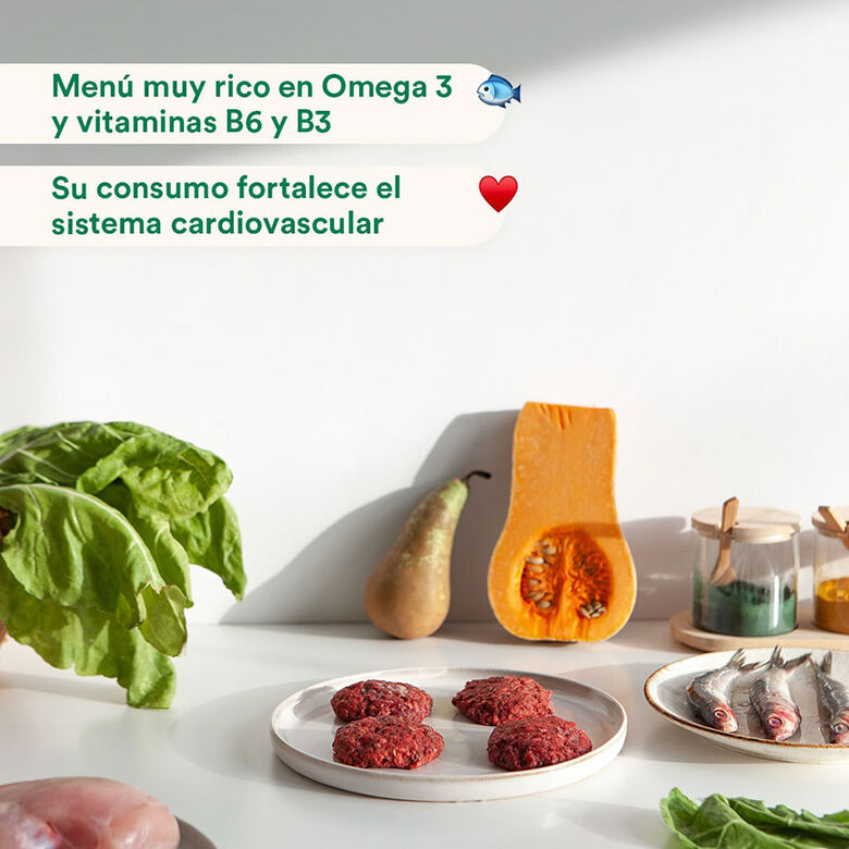 Wild Balance menús completos BARF sabor boquerón, sardina y pavo para perros thumbnail