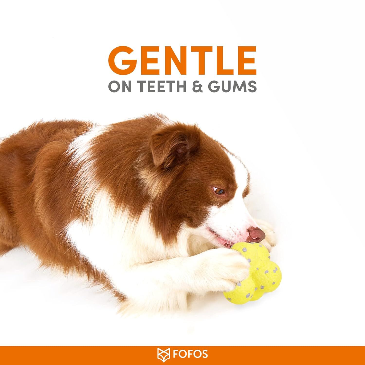 FOFOS | Bola Ultra-Resistente  - Para Perro, , large Imagen numero 5