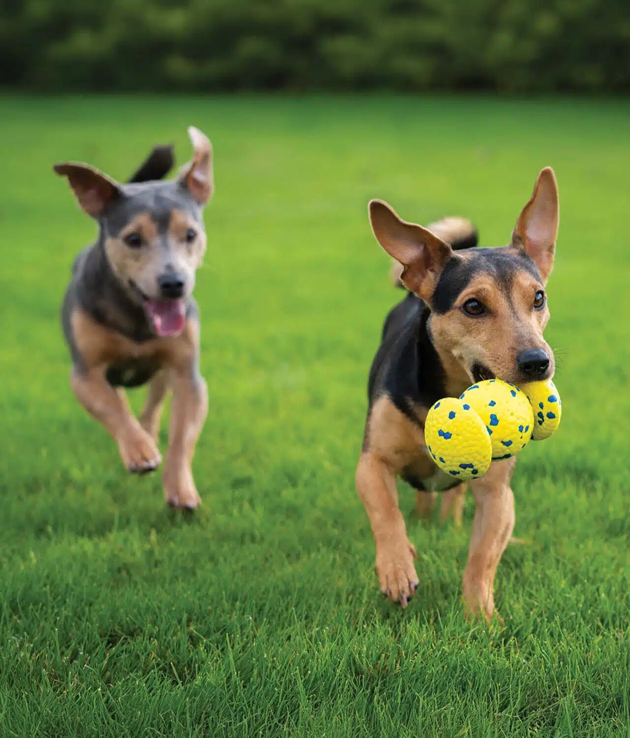 Zeus Nitro&trade; Bola Grip Lastrada , 12,4cm, , large Imagen numero 3