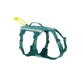 Non-stop Dogwear Arn&eacute;s Largo Azul y Verde para perros