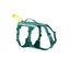 Non-stop Dogwear Arn&eacute;s Largo Azul y Verde para perros, , large indicador imagen numero 1