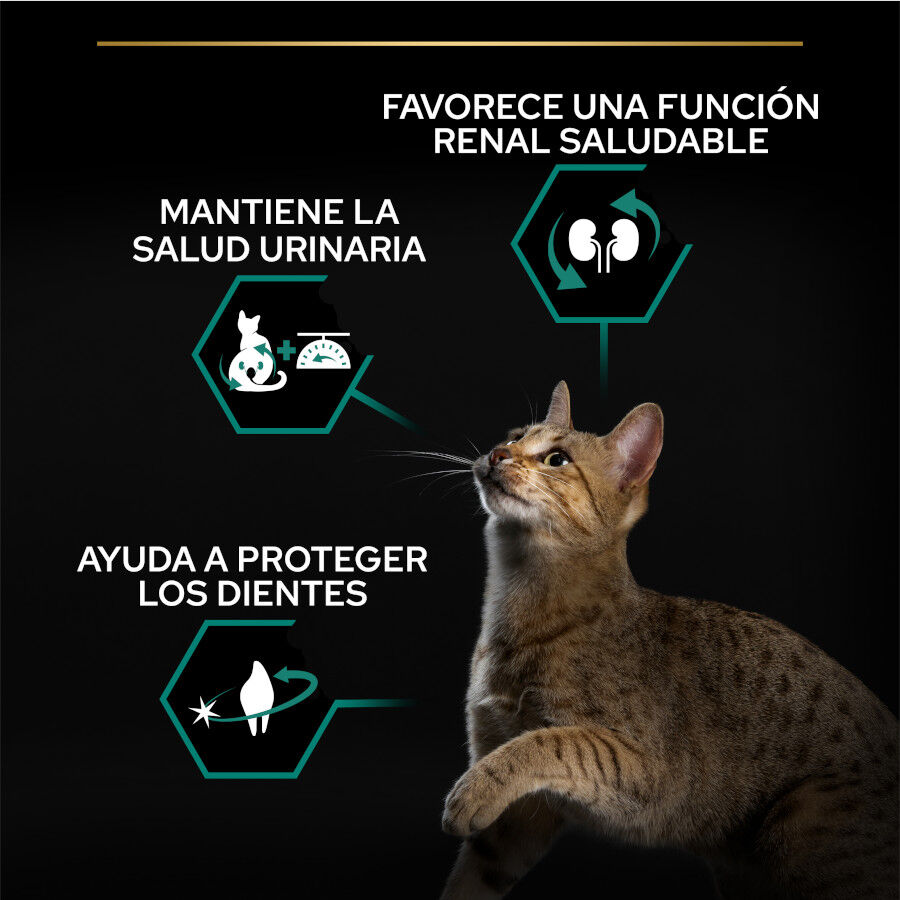 Pro Plan Adult Sterilized Pavo Pienso para gatos thumbnail