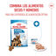 15 kg Royal Canin Starter MotheryBaby Maxi pienso para perros, , large indicador imagen numero 5