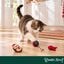 Wonder Christmas Set Erizos Juguete para gatos, , large indicador imagen numero 2
