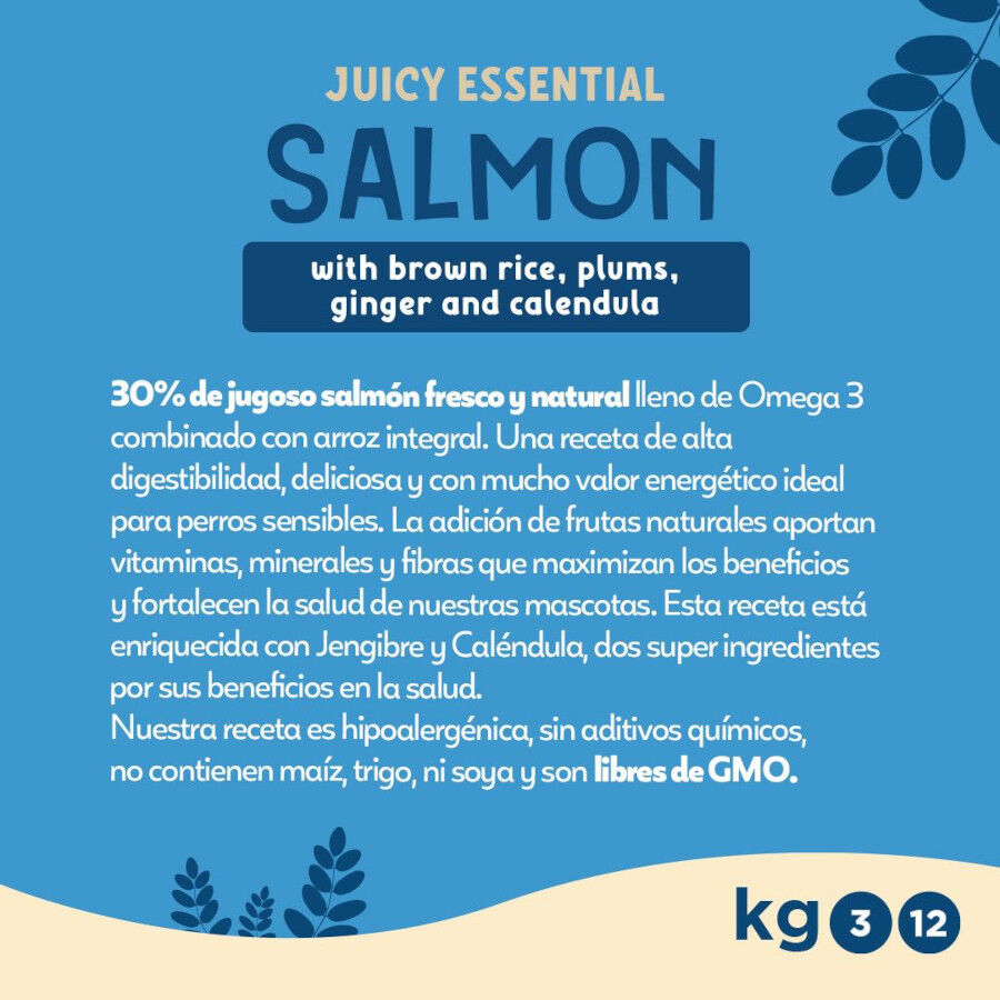 Fillip Mango Pienso Salm&oacute;n y Arroz para perros adultos, , large Imagen numero 2