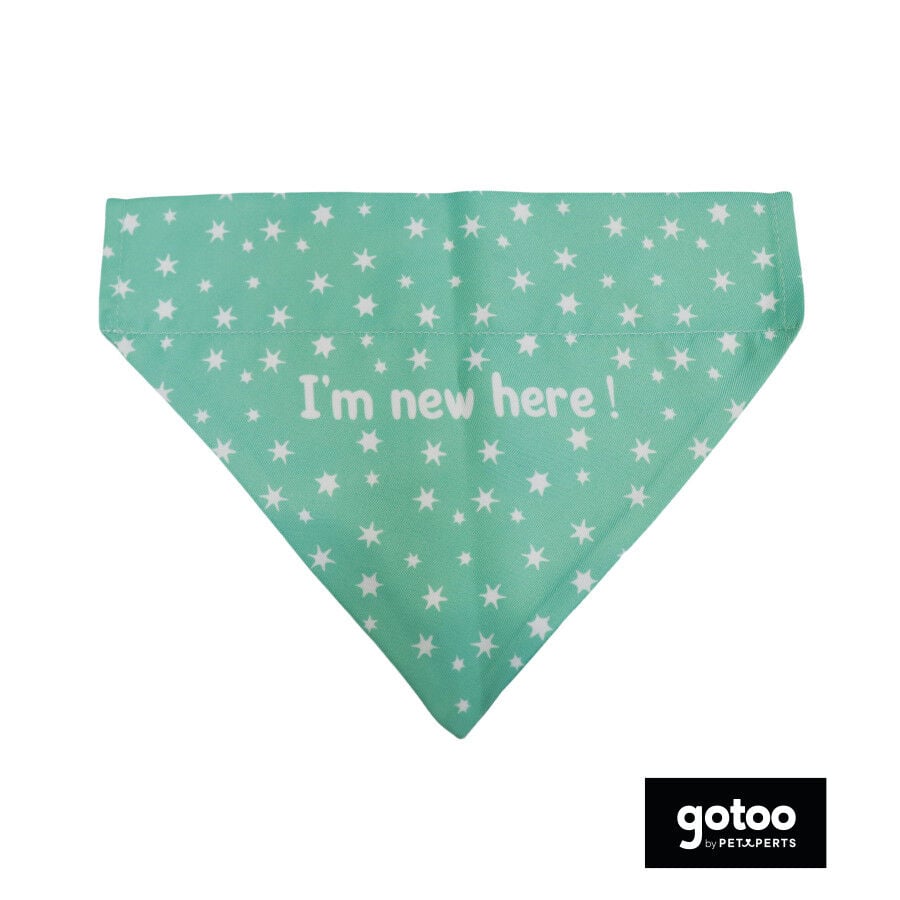 Gotoo Bandana estampada verde para perros, , large Imagen numero 2