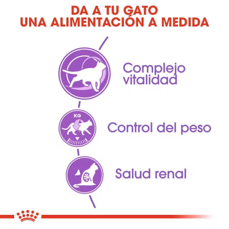 Royal Canin Adult 7+ Regular Sterilised pienso para gatos thumbnail