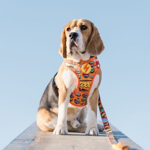 Arn&eacute;s reversible Neo Mesh Boom para perros color Varios, , large Imagen numero 4