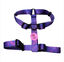 ARN&Eacute;S EN H FRENCHTOUTOU MORADO, , large indicador imagen numero 1