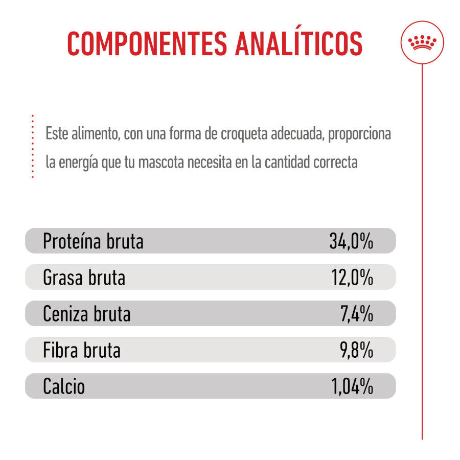 Royal Canin Kitten Sterilised pienso para gatos thumbnail