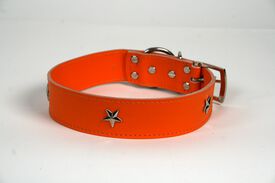 LGMCAN Collar de Piel naranja con estrella para perros