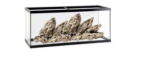 Acuario Akkua Basic de cristal negro para peces