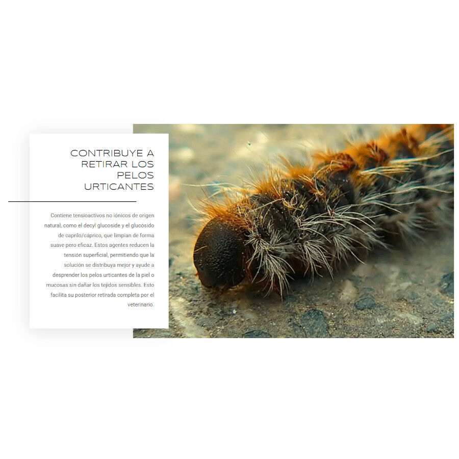 ProcesionFix Spray de Primeros Auxilios contra Procesionarias para Perros, , large Imagen numero 4