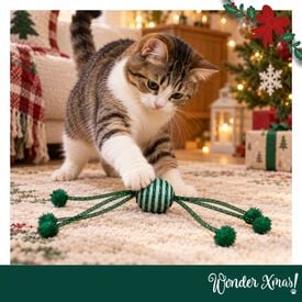 Wonder Christmas Pelota Brillante con Cuerda Juguete para gatos