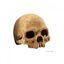 Refugio Exo-Terra Carabela Primate Skull, , large indicador imagen numero 1