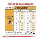 Royal Canin Adult Beagle pienso para perros, , large image number null
