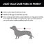 Outech Fox Abrigo para perros, , large indicador imagen numero 5
