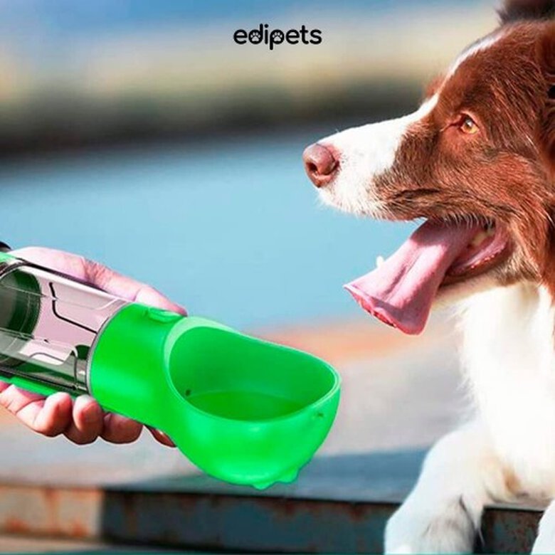 Edipets bebedero  portátil con dispensador de bolsas verde para perros, , large image number null