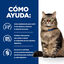 12 sobres x 85 g Hill's Prescription Diet Feline GI Biome Digestive Care Pollo y Verduras Sobre en salsa, , large indicador imagen numero 3