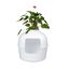 RHRQuality arenero cerrado color blanco para gatos, , large indicador imagen numero 1