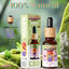 Paradise Aceite 10% CBD Base MCT-Coco Relajante para Perros y Gatos | Hecho en España, , large indicador imagen numero 3