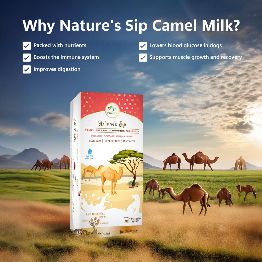 Nature's Sip para perros: leche de camello con manzana, coco, remolacha y menta (150 g/5,29 oz), , large Imagen numero 4
