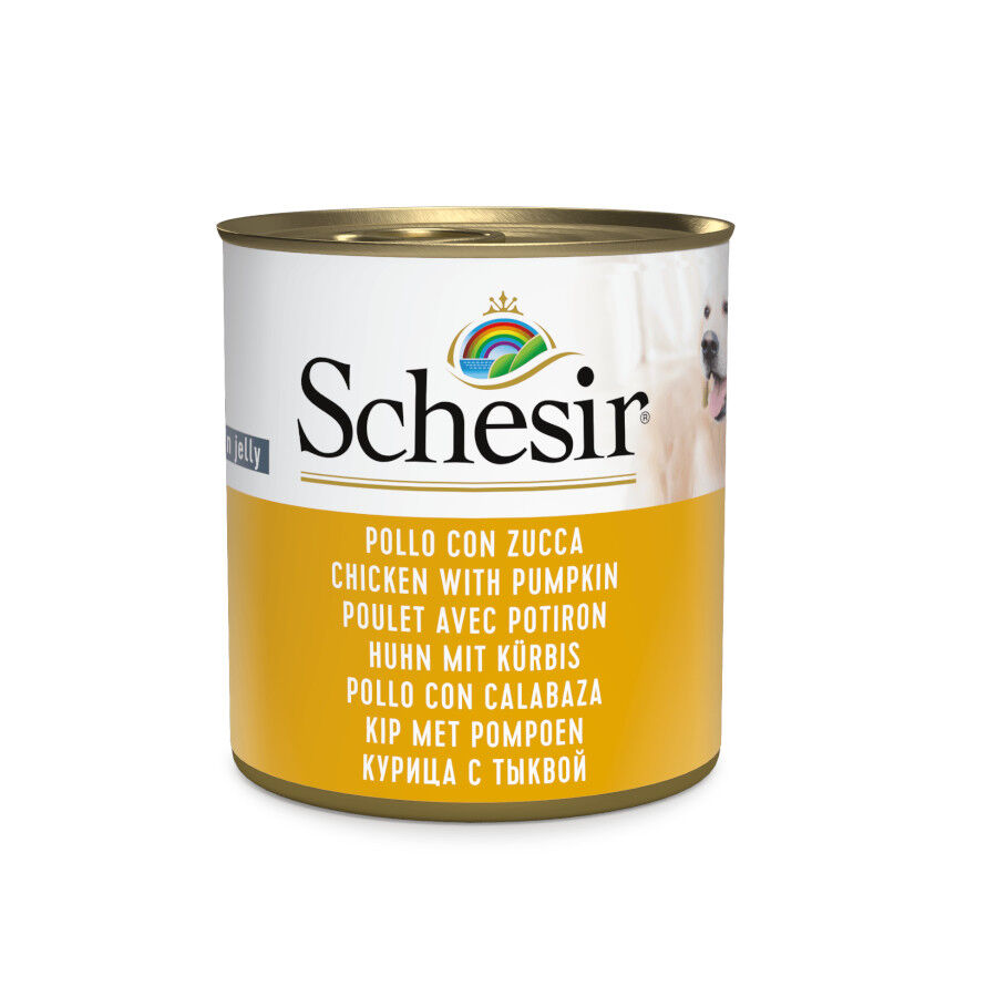 285 g Schesir Adult pollo con calabaza lata para perros, , large Imagen numero 1