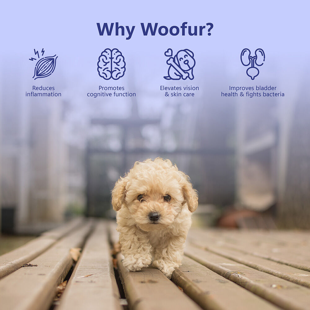 Delicias de carne seca: pollo y ar&aacute;ndanos (50 g/1,76 oz), , large Imagen numero 5