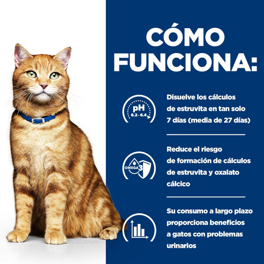 8 kg Hill's Prescription Diet Urinary Care c/d Pollo pienso para gatos, , large Imagen numero 5