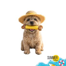 Summer Vibes Mordedor Hueso Juguete para perros