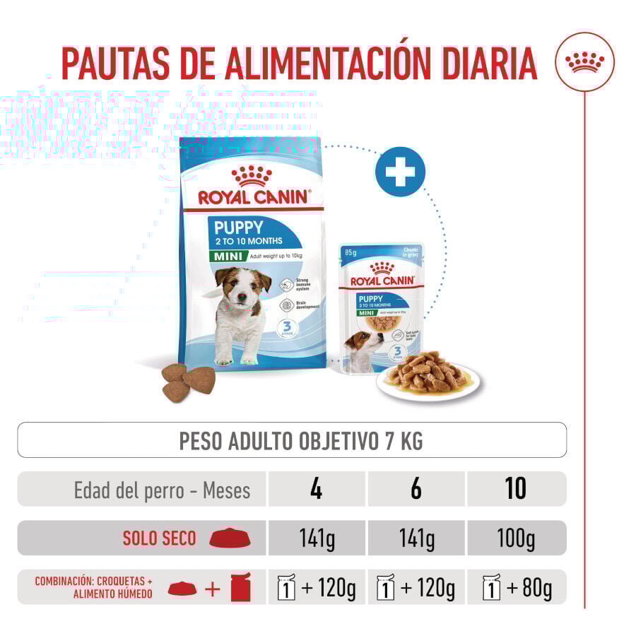 Royal Canin Mini Puppy pienso para perros thumbnail