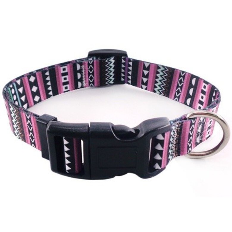 Collar perro color Morado