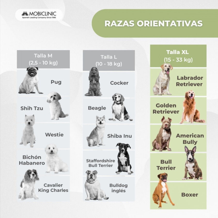 Chaleco salvavidas Mobiclinic para perros Arn&eacute;s ajustable Anilla para correa Asa ligera Aleta decorativa Sharky XL, , large Imagen numero 3
