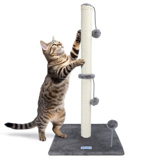 Nobleza - Rascador para Gatos, Altura 80 cm, Poste Rascador de Sisal para Gatos Medianos y Grandes, Cat Tree con Bola de Juguete Colgante y Pompón de Muelle, Gris