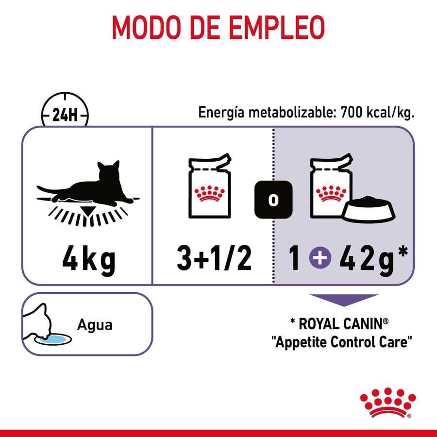 Royal Canin Nutrition Appetite Control Care gelatina para gatos thumbnail